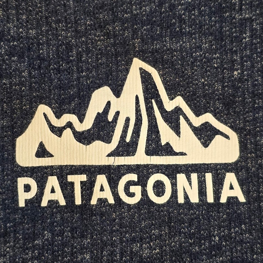 Patagonia Men's M French Terry Hoody Blue Full Zip Mountain Logo 1973 Graphic - Picture 5 of 11